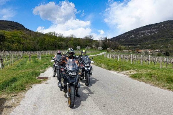 Motorcycle Riders in Vineyard Tour