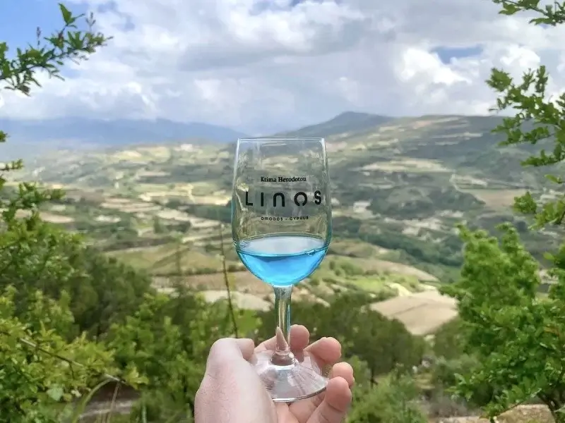 יקב לינוס בקפריסין