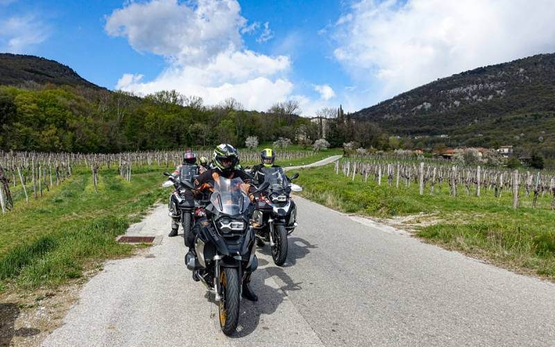 Motorcycle Riders in Vineyard Tour